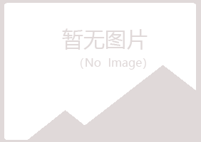 岑溪夏岚建设有限公司